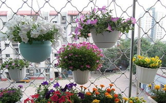 木屑養(yǎng)花的注意事項(xiàng)