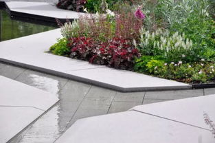 養(yǎng)花好書推薦