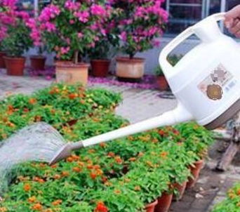 陽(yáng)臺(tái)養(yǎng)花要少而精嗎