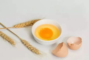 營(yíng)養(yǎng)花土有市場(chǎng)價(jià)值嗎