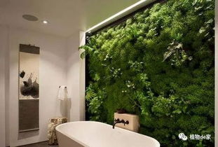 衛(wèi)生間可以開(kāi)辟養(yǎng)花區(qū)嗎