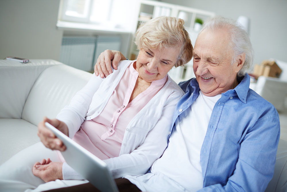 老養(yǎng)花幸福生活的