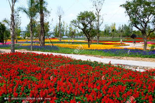 徐州有養(yǎng)花機地嗎