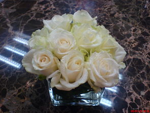 過(guò)期的活性炭能養(yǎng)花嗎