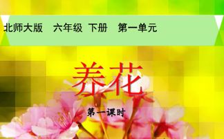 老百曉養(yǎng)花朗讀