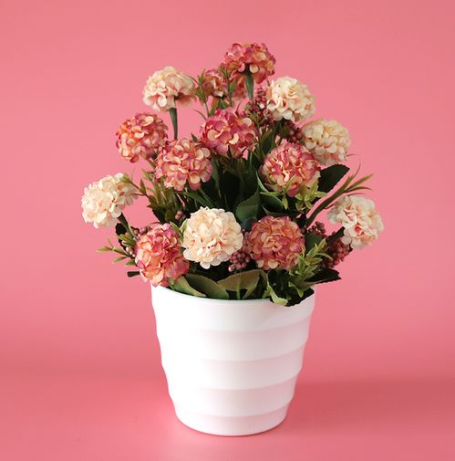 養(yǎng)花草買放大鏡什么樣的好