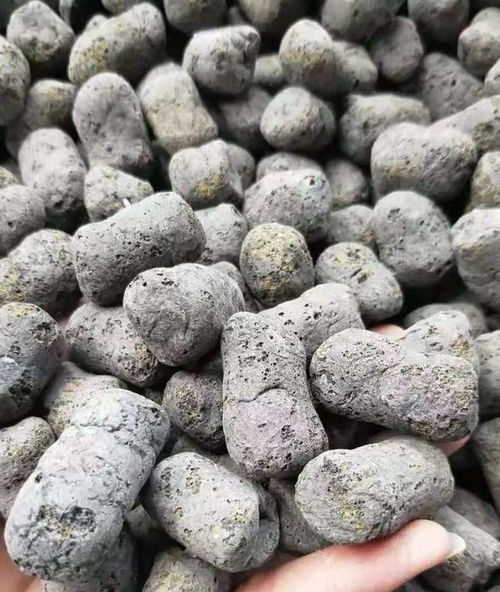 廁所用的陶?？梢责B(yǎng)花嗎