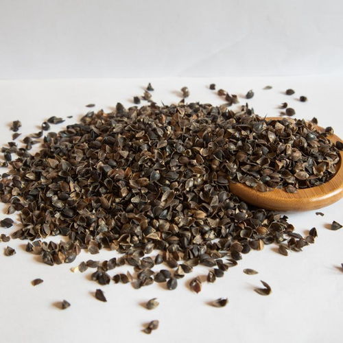 蕎麥皮焚燒后能養(yǎng)花嗎