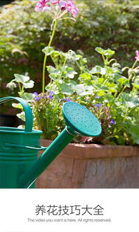 養(yǎng)花知識(shí)大全安裝