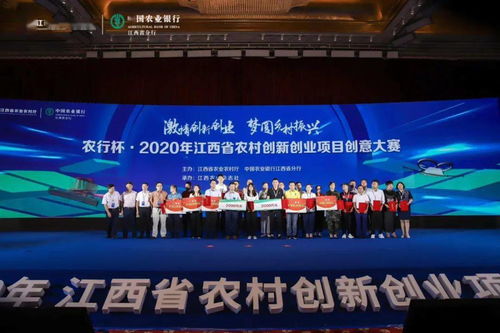 江西省,創(chuàng)意,大賽,農(nóng)村