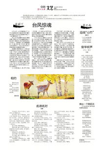 眾創(chuàng)新視野創(chuàng)業(yè)