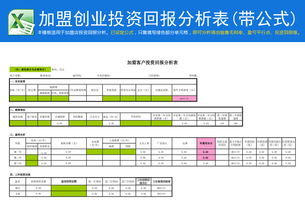 創(chuàng)新創(chuàng)業(yè)資金回報(bào)表格