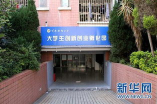 孵化,財大,創(chuàng)新,基地