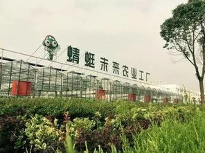 返鄉(xiāng)創(chuàng)新創(chuàng)業(yè)基地建設(shè)方案