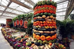 科技創(chuàng)新,激勵,鼓勵,辦法