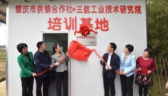 巾幗,先進(jìn)集體,創(chuàng)新,創(chuàng)業(yè)