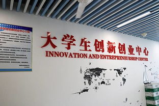 大學(xué)生創(chuàng)新創(chuàng)業(yè)的核心主體是什么