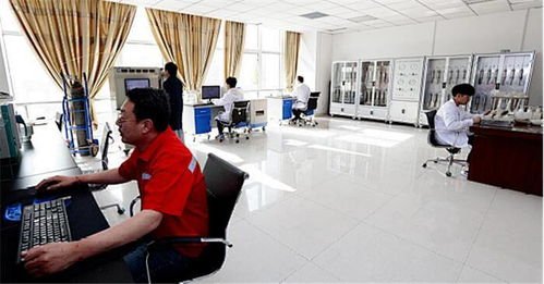 東營,創(chuàng)新,創(chuàng)業(yè),平臺(tái)