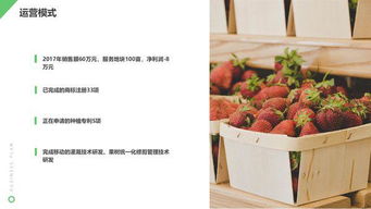 互聯(lián)網(wǎng)+鮮花店大學(xué)生創(chuàng)新創(chuàng)業(yè)計(jì)劃書,大學(xué)生開鮮花店創(chuàng)業(yè)計(jì)劃書,大學(xué)生鮮花店創(chuàng)業(yè)計(jì)劃書的模板