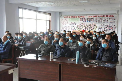 返鄉(xiāng),下鄉(xiāng),高素質(zhì),農(nóng)民