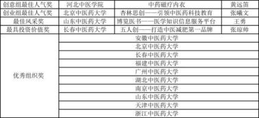 香囊,中藥,策劃書,創(chuàng)新