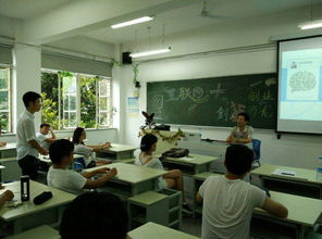 創(chuàng)新,創(chuàng)業(yè),學(xué)院,SWOT