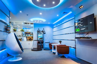 互動,創(chuàng)新,體驗,寵物