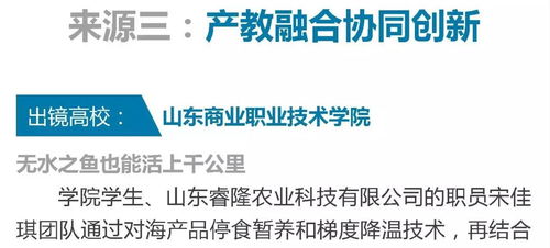 大學(xué)生創(chuàng)新創(chuàng)業(yè)的團(tuán)隊(duì)協(xié)作怎么寫(xiě),大學(xué)生創(chuàng)新創(chuàng)業(yè)訓(xùn)練項(xiàng)目官網(wǎng),大學(xué)生創(chuàng)新創(chuàng)業(yè)的團(tuán)隊(duì)介紹