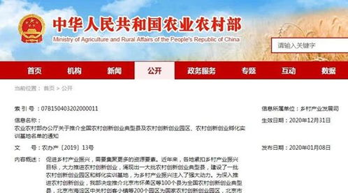 帶動,農(nóng)村,創(chuàng)新,創(chuàng)業(yè)