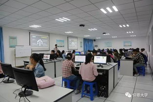 創(chuàng)新,創(chuàng)業(yè),學(xué)校,專業(yè)