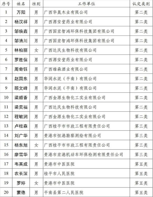 貴港市,申請(qǐng)表,認(rèn)定,創(chuàng)新