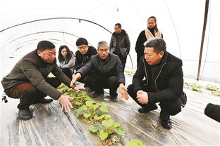 農業(yè)科技創(chuàng)新創(chuàng)業(yè)激勵鼓勵辦法