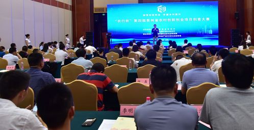 創(chuàng)新創(chuàng)業(yè)項目關(guān)于農(nóng)產(chǎn)品題目