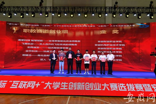 安徽省大學(xué)生創(chuàng)新創(chuàng)業(yè)大賽項(xiàng)目