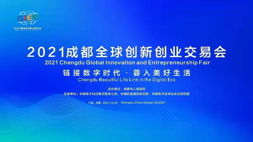 英文,交通運輸,實踐,案例