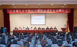 云南創(chuàng)新創(chuàng)業(yè)大賽決賽,云南創(chuàng)新創(chuàng)業(yè)大賽決賽名單,云南經(jīng)濟(jì)管理學(xué)院創(chuàng)新創(chuàng)業(yè)學(xué)院