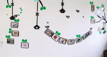 關于寵物創(chuàng)業(yè)的創(chuàng)新點