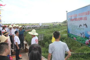 南昌大學創(chuàng)新創(chuàng)業(yè)課程怎么搶