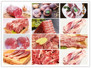 錫盟牛羊肉創(chuàng)業(yè)創(chuàng)新