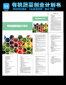 蔬菜批發(fā)創(chuàng)新創(chuàng)業(yè)計劃書