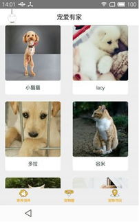 創(chuàng)新創(chuàng)業(yè)流浪動物