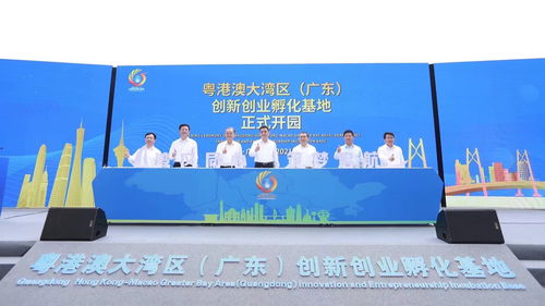 孵化,好處,創(chuàng)新,創(chuàng)業(yè)