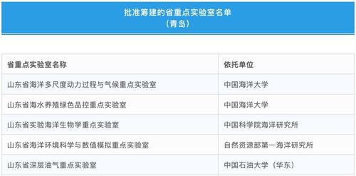 縣級(jí),績(jī)效,大賽,目標(biāo)