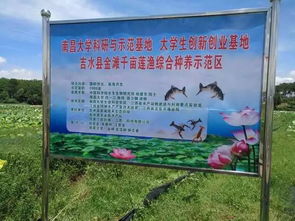 南昌大學創(chuàng)新創(chuàng)業(yè)學院,南昌大學創(chuàng)新創(chuàng)業(yè)基礎課答案,南昌大學創(chuàng)新創(chuàng)業(yè)學分