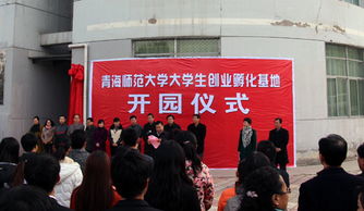 青海省,孵化,創(chuàng)新,創(chuàng)業(yè)