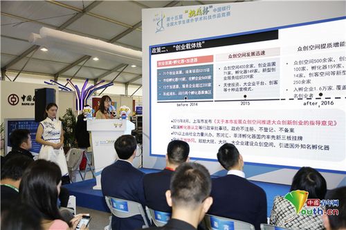 大學(xué)生創(chuàng)新創(chuàng)業(yè)成果展內(nèi)容