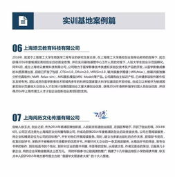 實訓,創(chuàng)新,創(chuàng)業(yè),報告