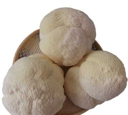 新鮮猴頭菇可以直接冷凍嗎