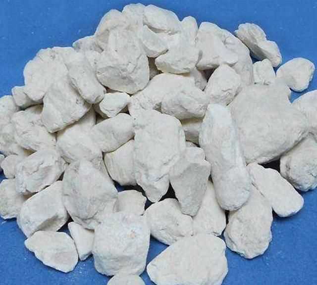 面粉長(zhǎng)蟲(chóng)子了怎么辦，買(mǎi)的面里面有小蟲(chóng)子怎么辦？圖4