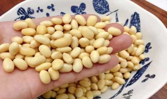 泡好的黃豆可以放幾天,黃豆水能存放多久變質(zhì) 泡好的黃豆可以放幾天呢圖2